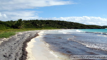 Vereda Cerro Playuela