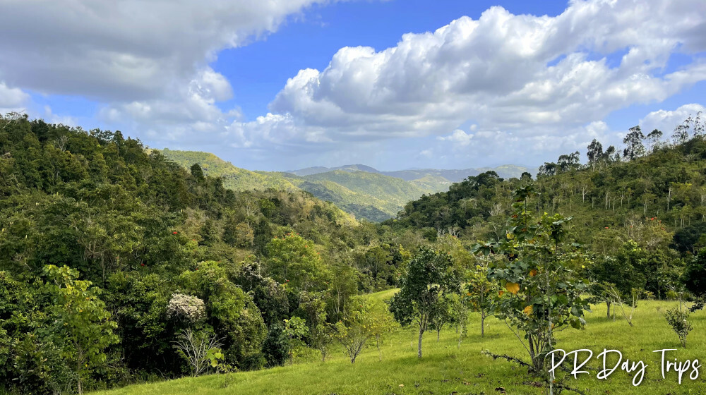 Vereda Suñé