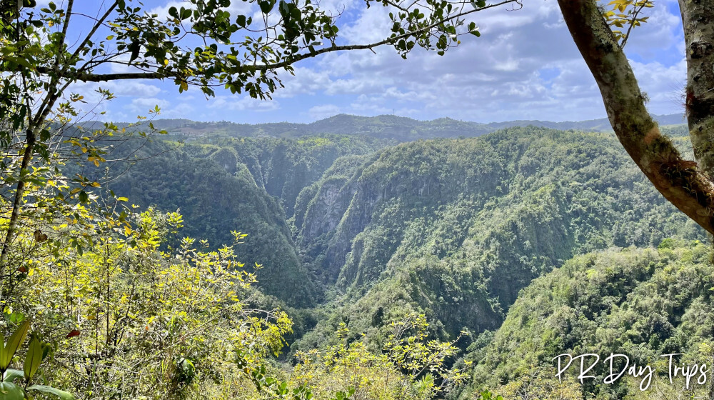 Vereda Suñé