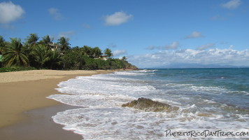 Vieques