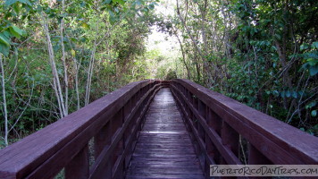 Vieques