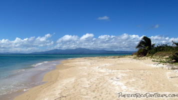 Vieques