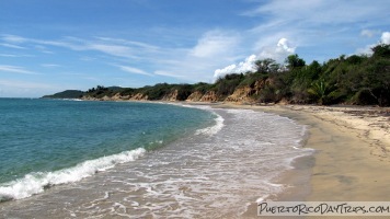 Playa Negra Vieques