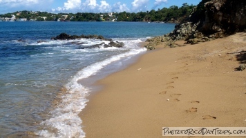 Vieques Sea Glass