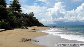 Vieques Sea Glass