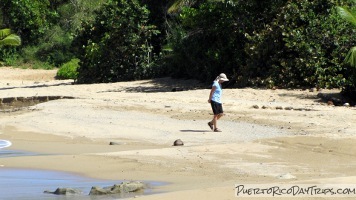 Vieques Sea Glass