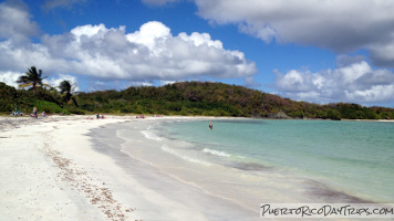 Vieques Snorkeling