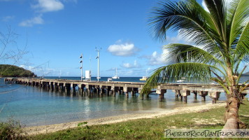 Vieques Snorkeling