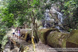 Waterline Trail in El Yunque