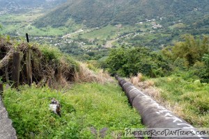 Waterline Trail in El Yunque