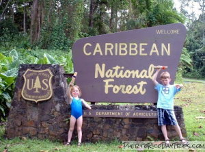 Kids at the rain forest