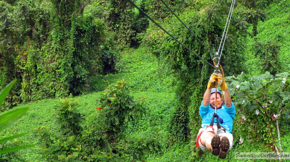 rainforest zipline tour puerto rico