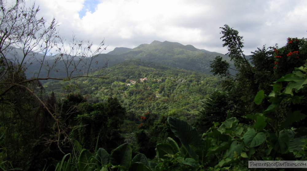 Yunke Zipline Adventure